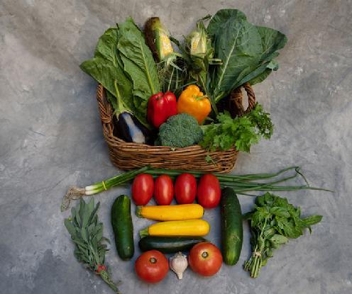 CSA Vegetable Share