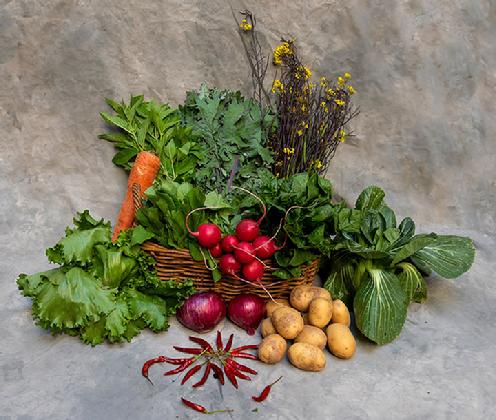 Large Vegetable Share