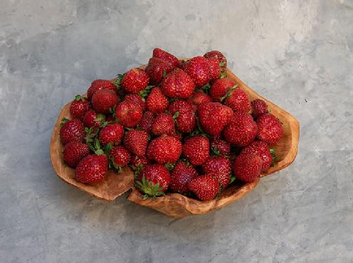 Fruit Share