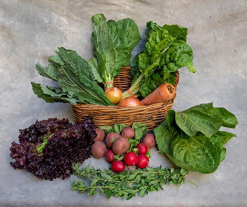 Small Vegetable Share