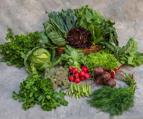 Large Vegetable Share