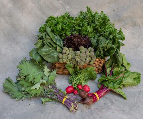 Small Vegetable Share