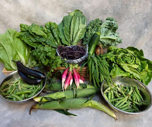 Large Vegetable Share