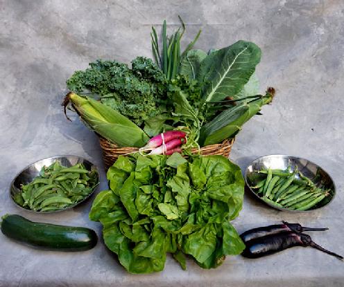 Small Vegetable Share