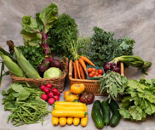 Large Vegetable Share