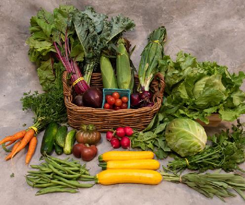 Small Vegetable Share