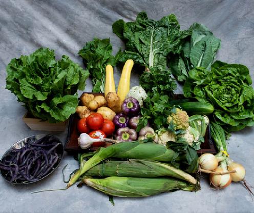 Large Vegetable Share