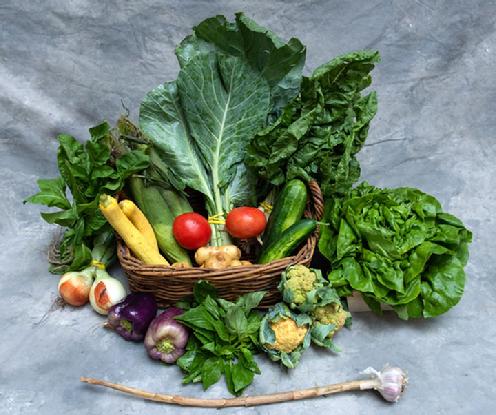 Small Vegetable Share
