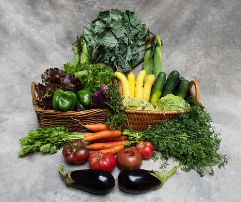 Large Vegetable Share