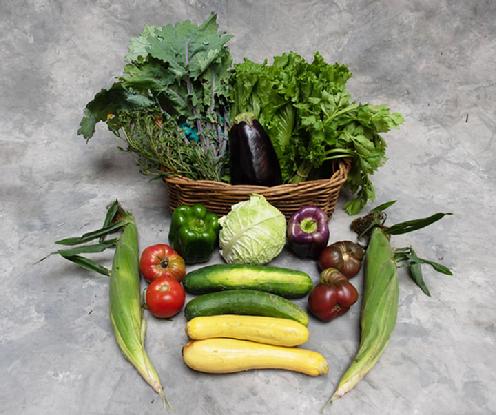 Small Vegetable Share