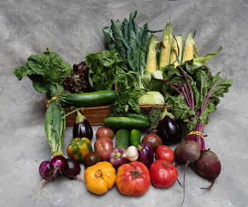 Large Vegetable Share