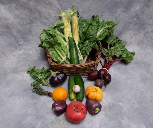 Small Vegetable Share