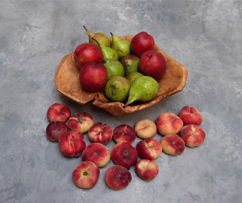 Fruit Share
