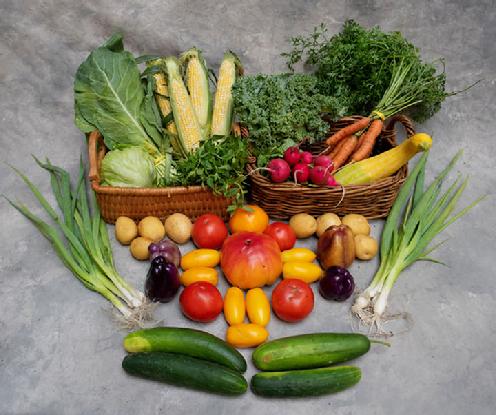 Large Vegetable Share