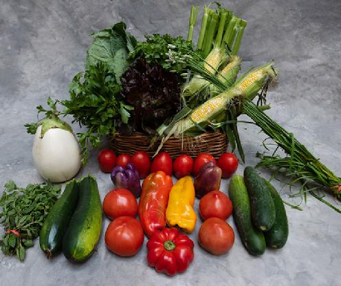 Large Vegetable Share