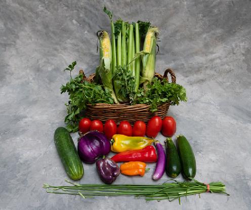 Small Vegetable Share