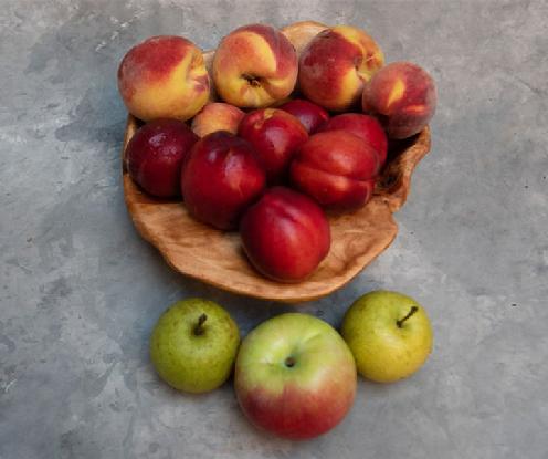 Fruit Share