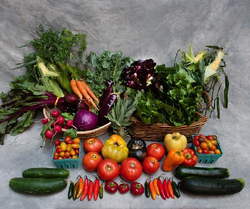 Large Vegetable Share