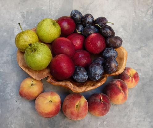 Fruit Share