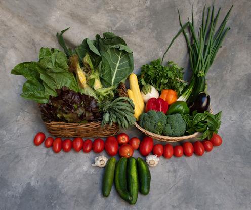 Large Vegetable Share