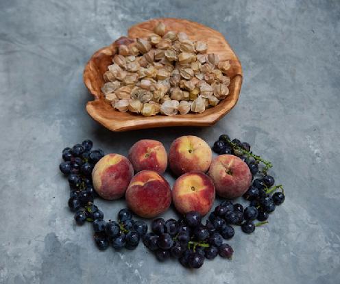 Fruit Share