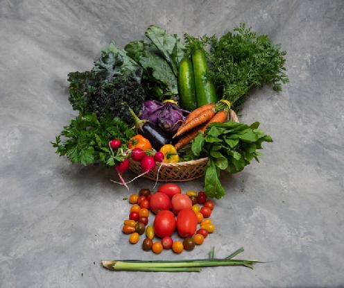 Small Vegetable Share