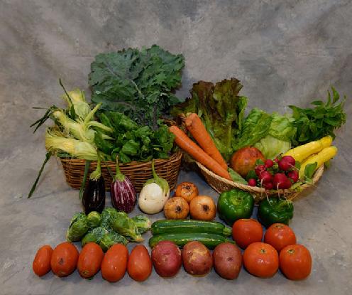 Large Vegetable Share