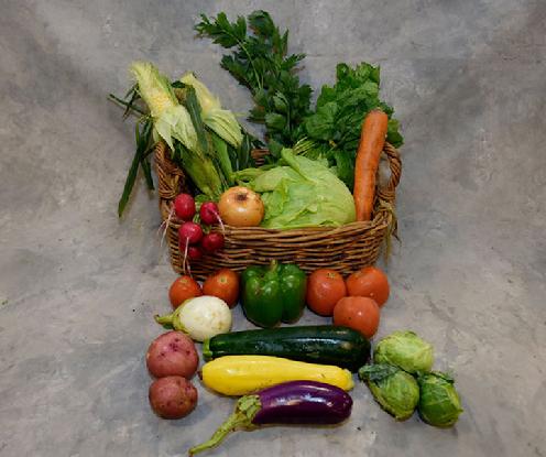 Small Vegetable Share