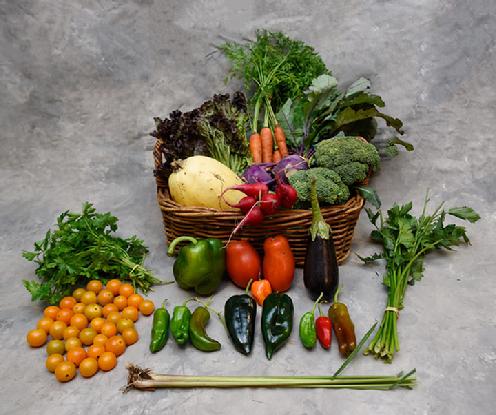 Small Vegetable Share