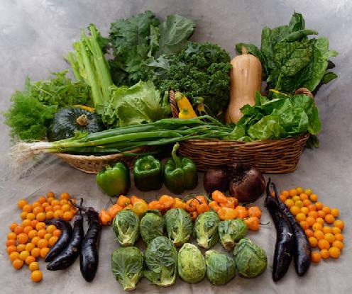 Large Vegetable Share